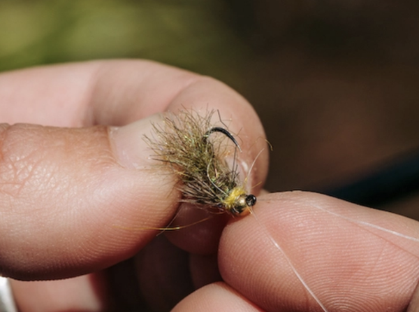 Umpqua XC450BL-BN Fly Tying Hook Action